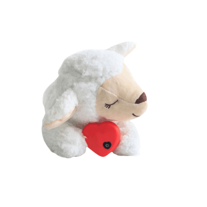 Eco-friendly puppy toy